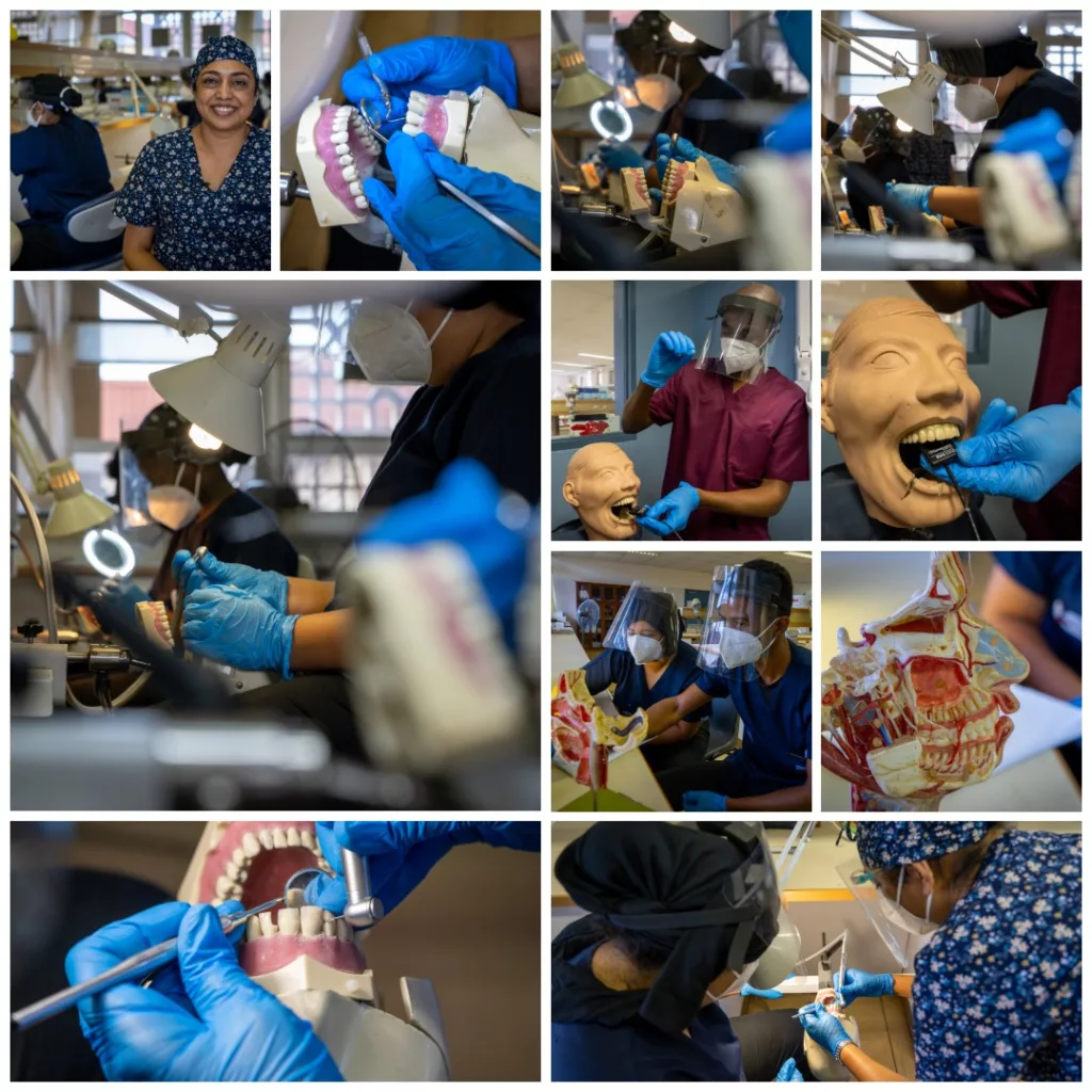 Dentistry Discipline Champions Oral Cancer Awareness in Community Campaign